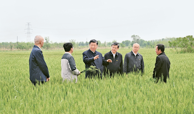 2023年5月11日至12日，中共中央總書(shū)記、國(guó)家主席、中央軍委主席習(xí)近平在河北考察，并主持召開(kāi)深入推進(jìn)京津冀協(xié)同發(fā)展座談會(huì)。這是11日上午，習(xí)近平在滄州市黃驊市舊城鎮(zhèn)仙莊片區(qū)旱堿地麥田考察時(shí)，同種植戶(hù)、農(nóng)技專(zhuān)家親切交流。 新華社記者 李學(xué)仁/攝